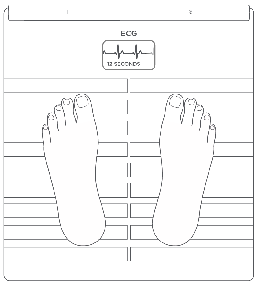 Body Scan - Activating the ECG feature (U.S. Only) – Withings