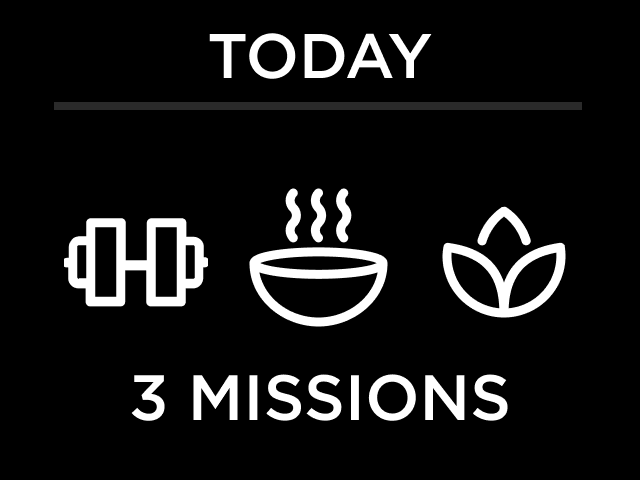 3_MISSIONS.png