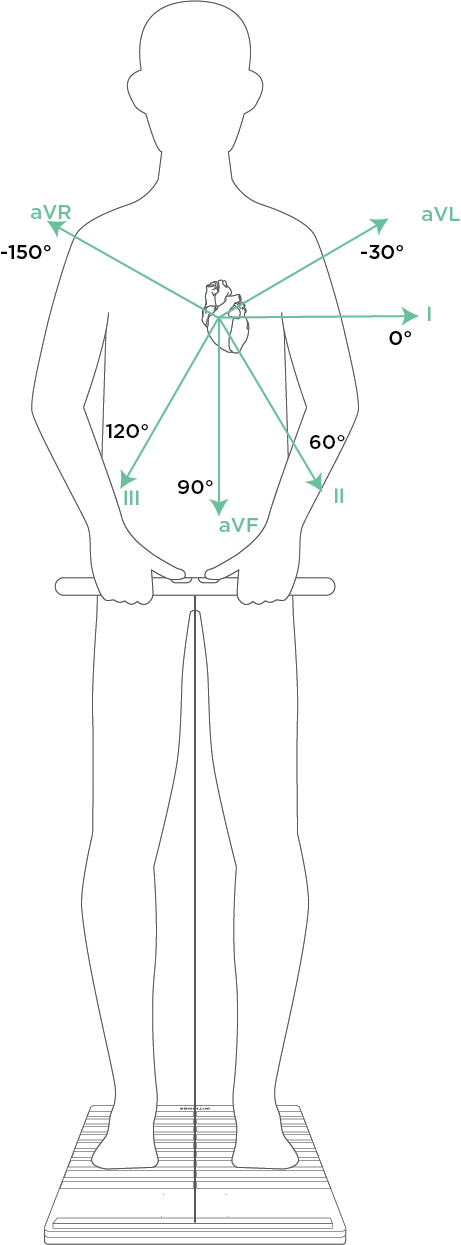 Withings' Body Scan scale will take EKGs and measure segmented