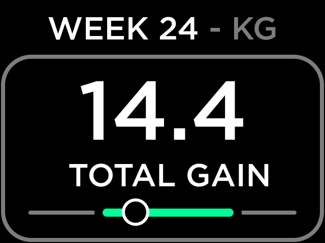 WEEK STATUS 2025.jpg