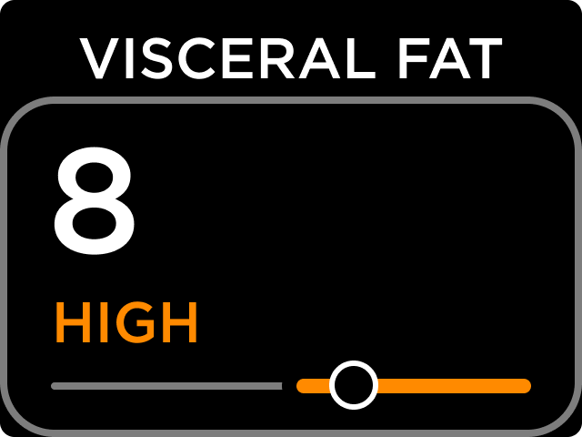 VISCERAL_FAT_HIGH.png