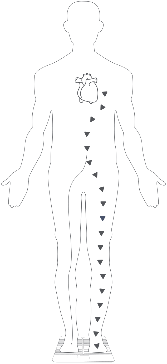 Body cardio-6 (1).png