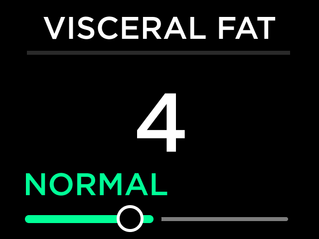 VisceralFat1.png