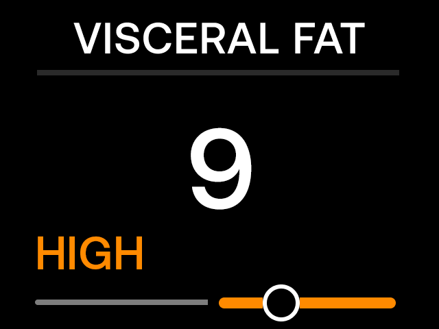 VisceralFat2.png