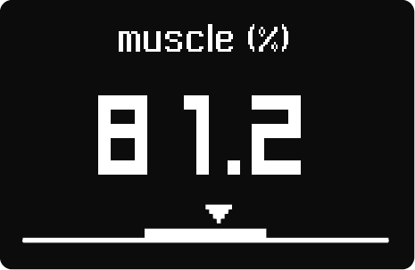 muscle.png