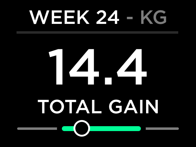 WEEK STATUS.png