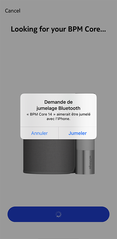 bpmcore-pairing-confirm.png