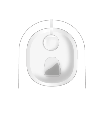 Toilet Bowl.png
